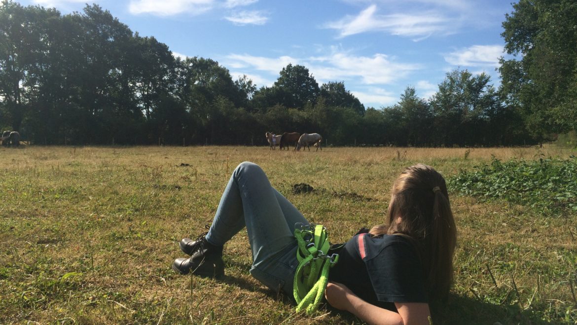 Séjours ressources jeunes Eté 2022