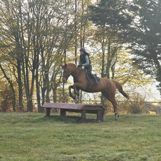 Lady la jument qu'il faut conquérir. Equiconfiance